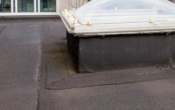 disadvantages of Morfa Glas flat roofs