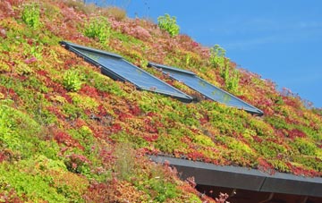 Morfa Glas living roof systems